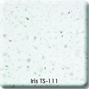 Iris TS-111 - Компания «Маэстро»