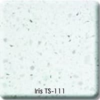 Iris TS-111 - Компания «Маэстро»